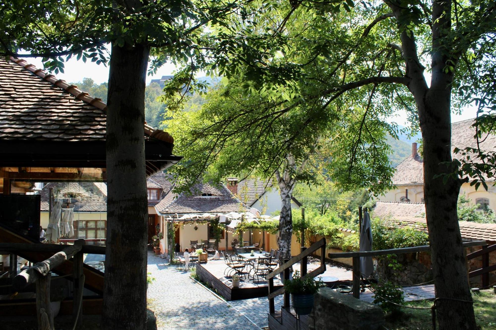 Pensiunea Agora Cisnadioara Buitenkant foto