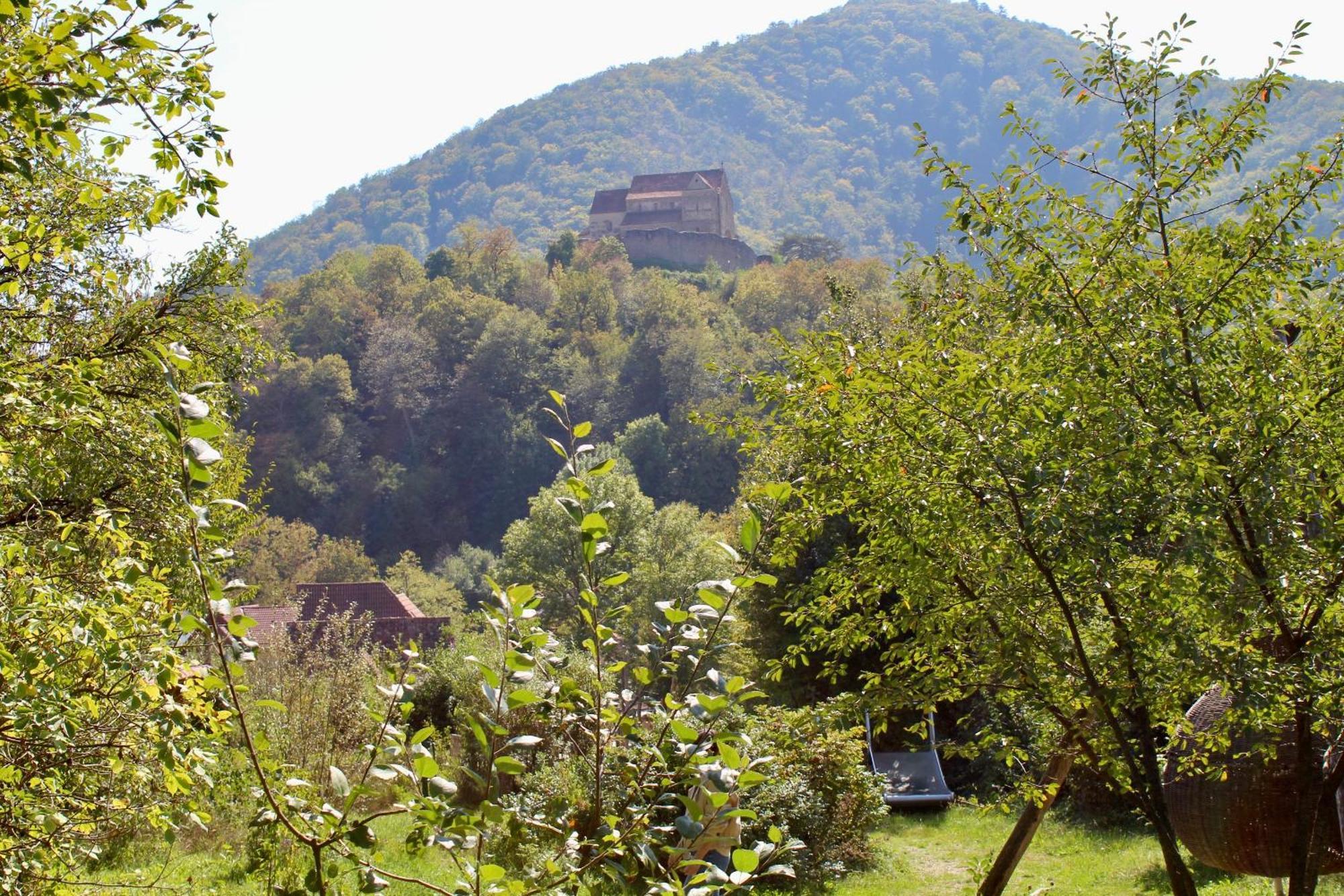 Pensiunea Agora Cisnadioara Buitenkant foto